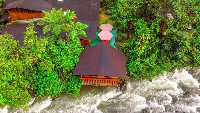 Mindo Garden Lodge And Wildlife Reserve Luaran gambar