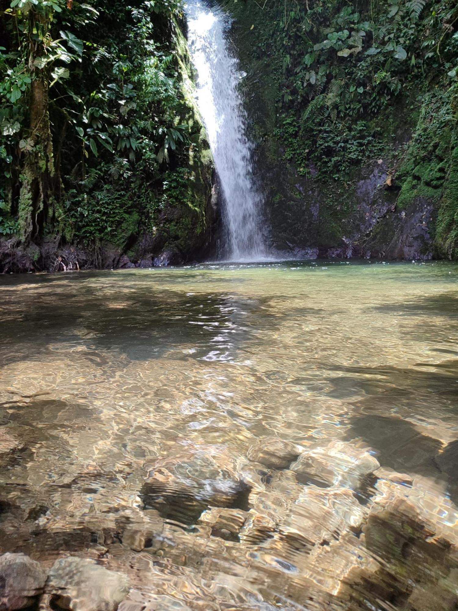 Mindo Garden Lodge And Wildlife Reserve Luaran gambar