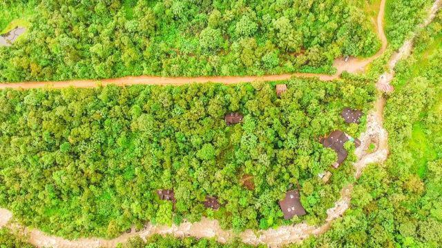 Mindo Garden Lodge And Wildlife Reserve Luaran gambar