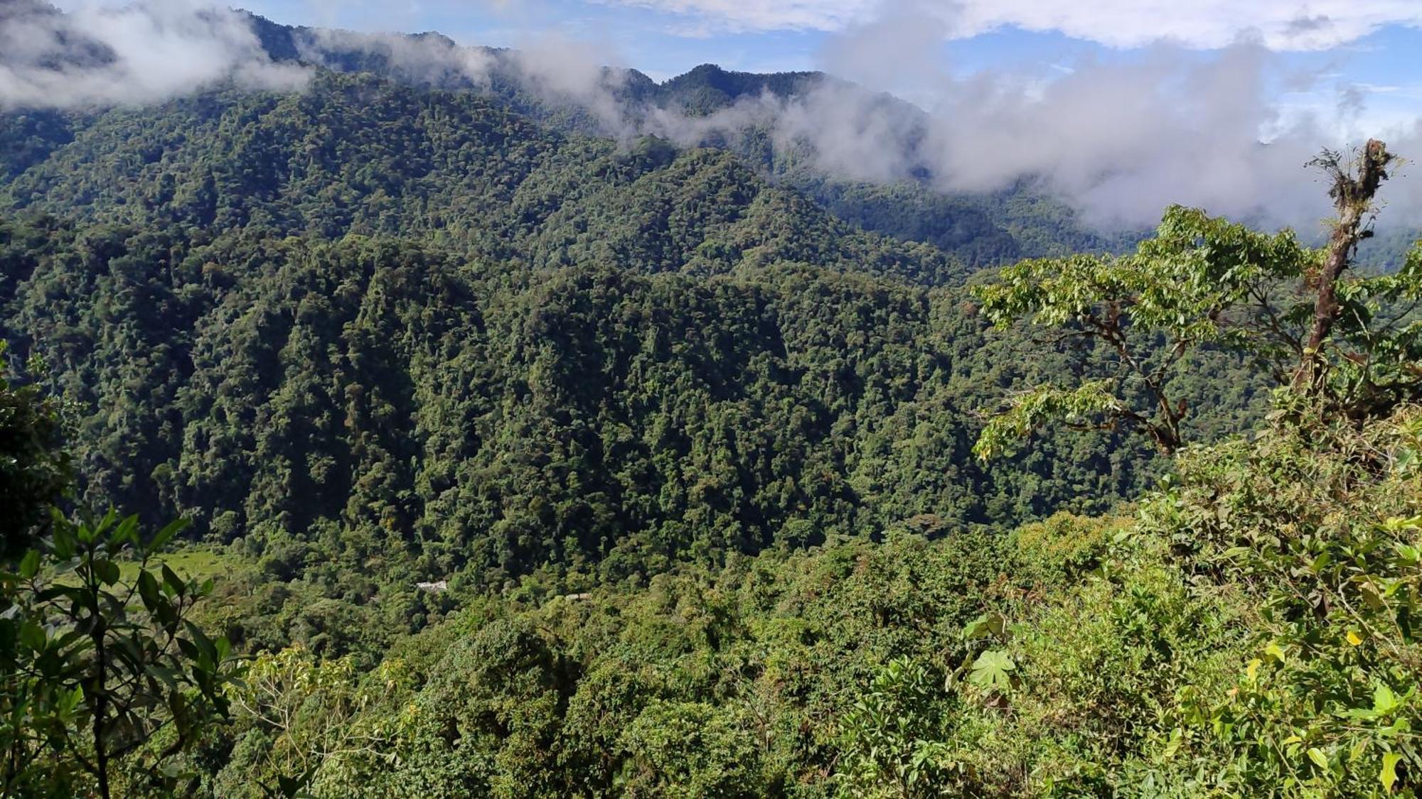 Mindo Garden Lodge And Wildlife Reserve Luaran gambar