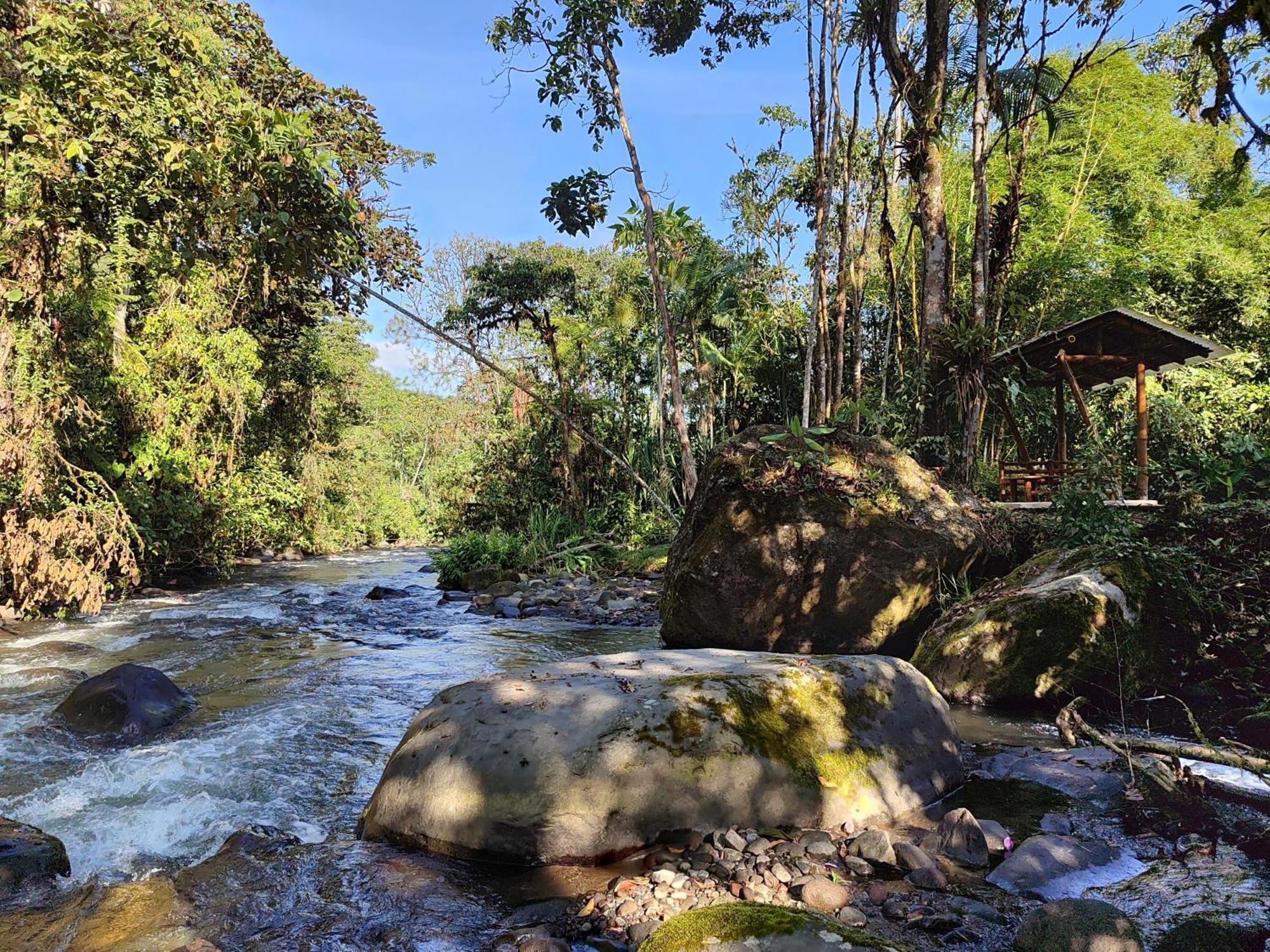 Mindo Garden Lodge And Wildlife Reserve Luaran gambar