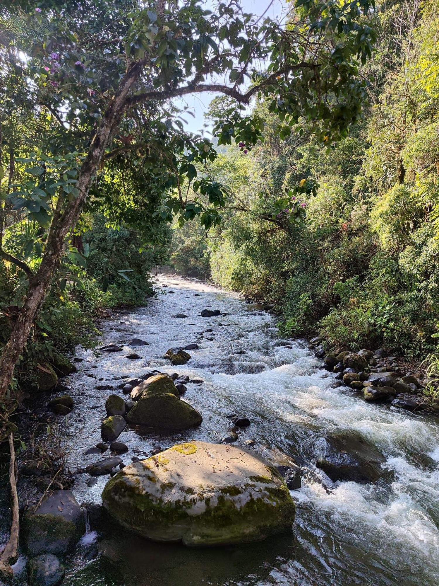 Mindo Garden Lodge And Wildlife Reserve Luaran gambar