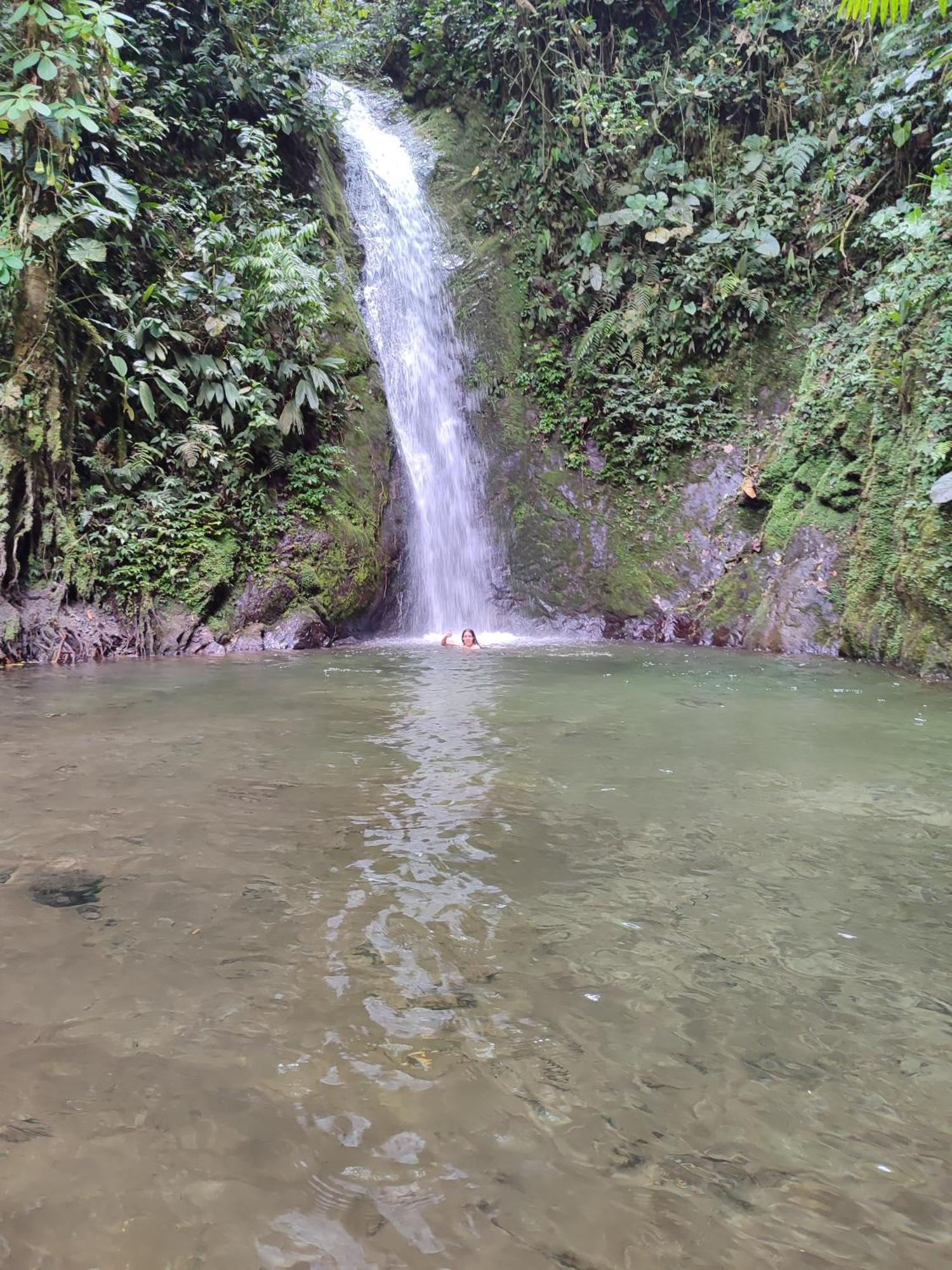 Mindo Garden Lodge And Wildlife Reserve Luaran gambar