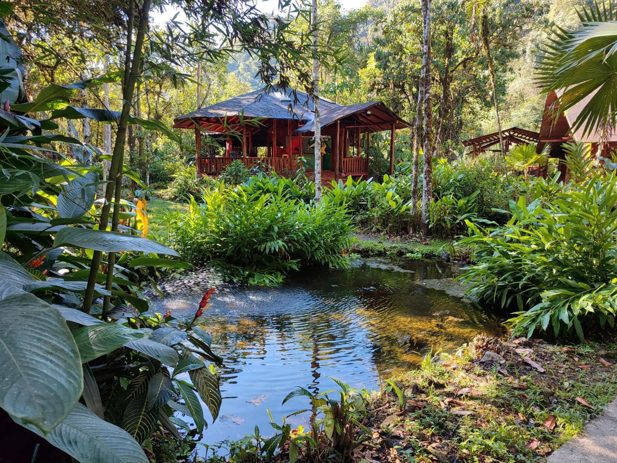 Mindo Garden Lodge And Wildlife Reserve Luaran gambar