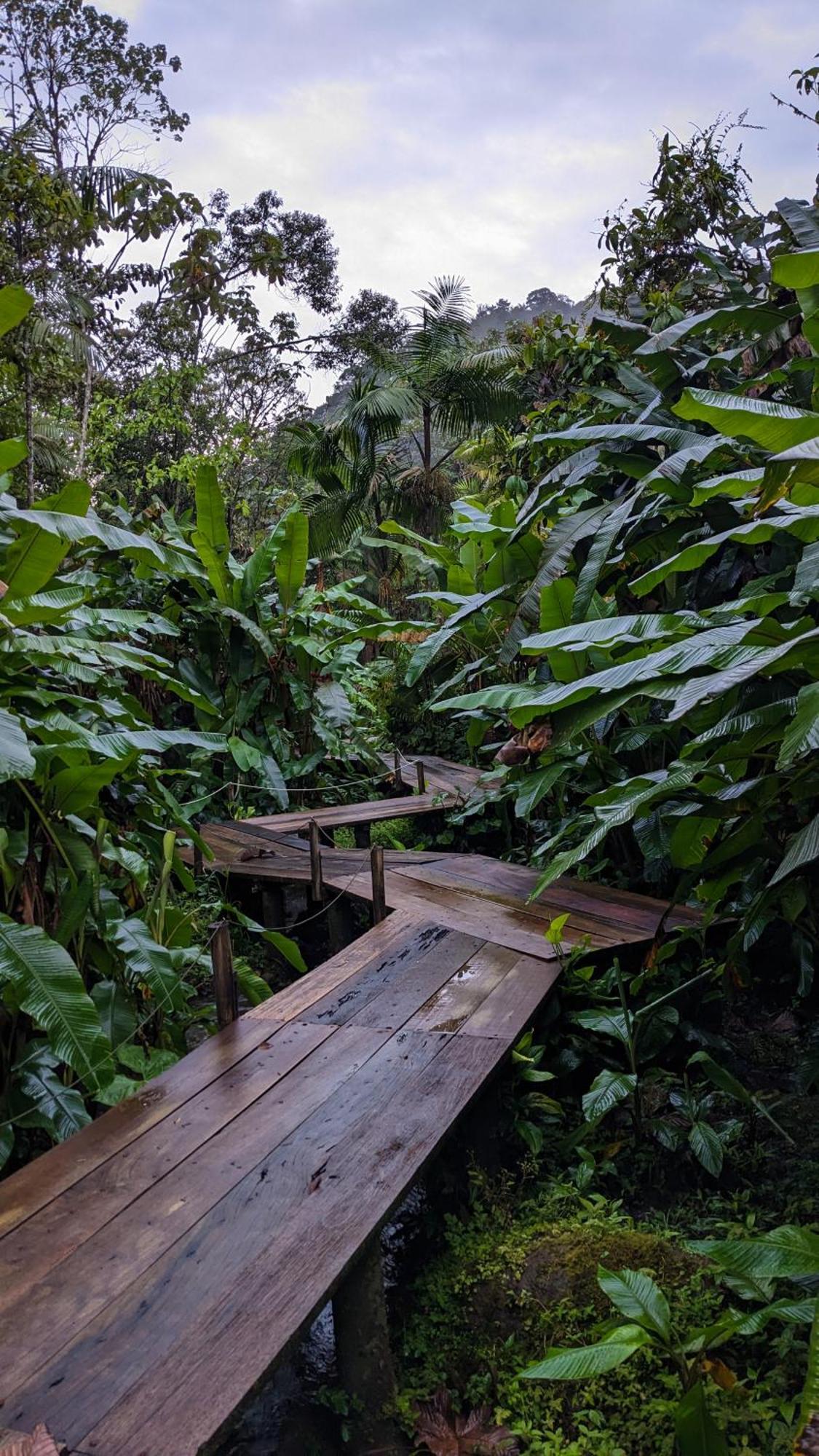 Mindo Garden Lodge And Wildlife Reserve Luaran gambar